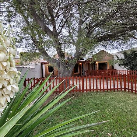 El Patio Del Aromo Daire Puerto Madryn Dış mekan fotoğraf