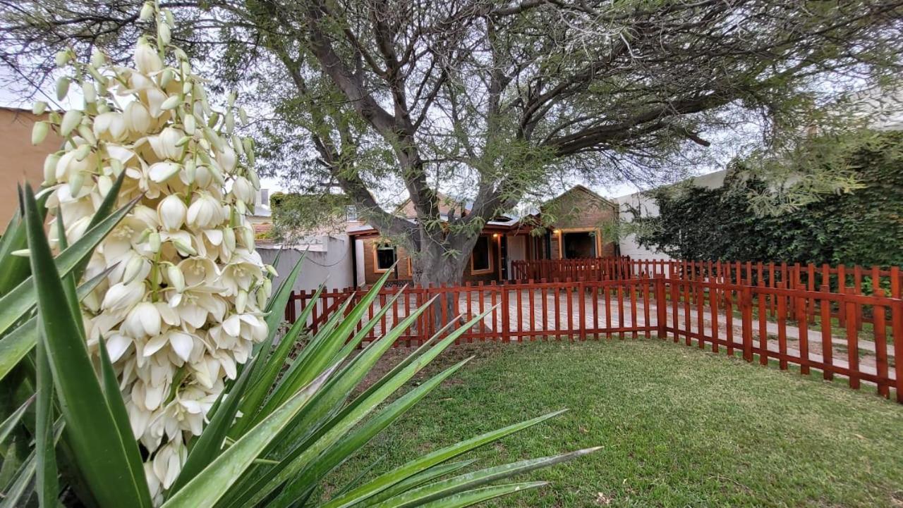 El Patio Del Aromo Daire Puerto Madryn Dış mekan fotoğraf