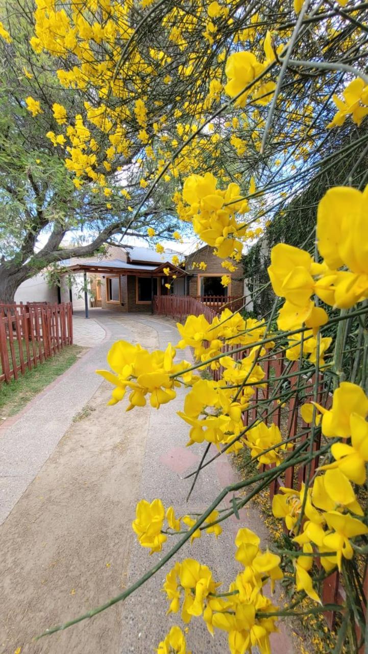 El Patio Del Aromo Daire Puerto Madryn Dış mekan fotoğraf