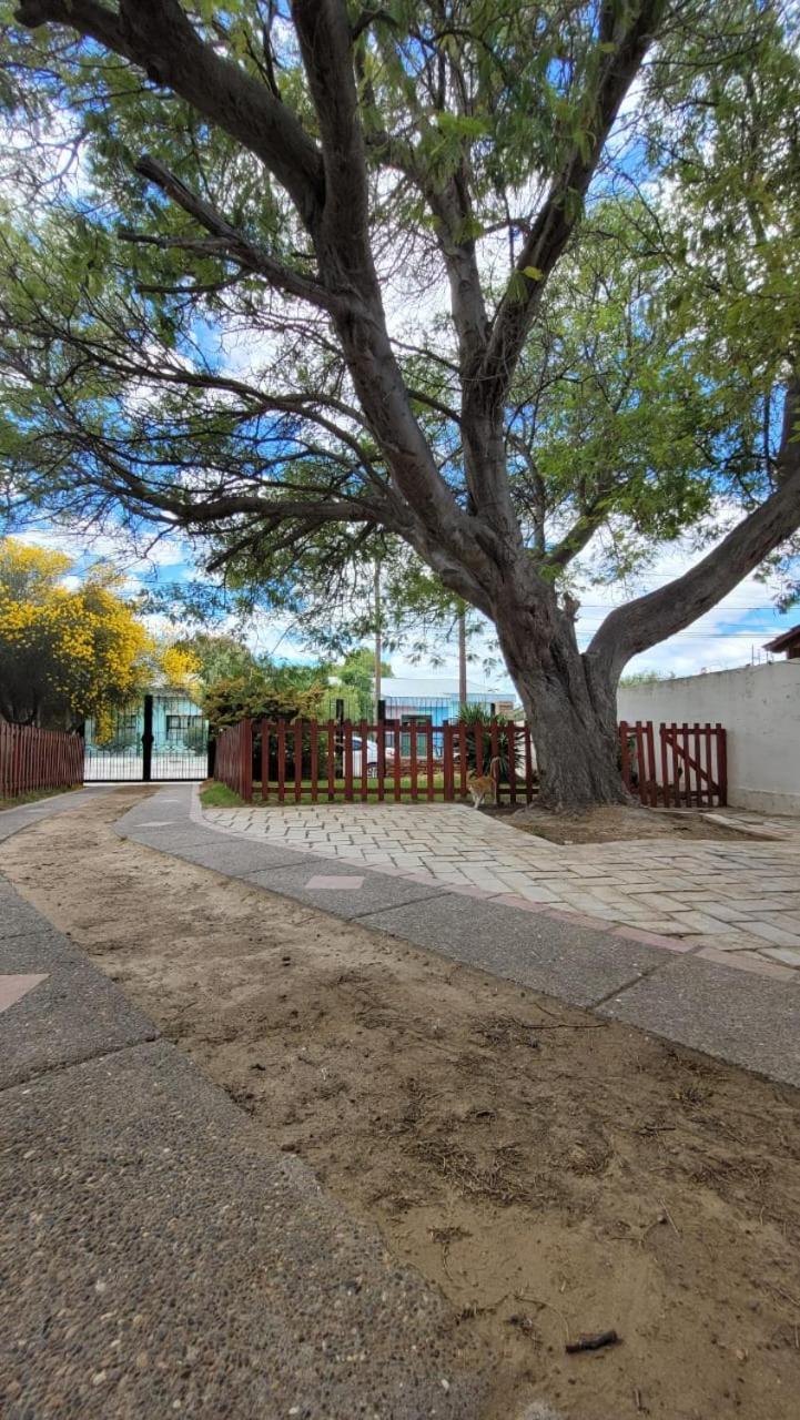 El Patio Del Aromo Daire Puerto Madryn Dış mekan fotoğraf